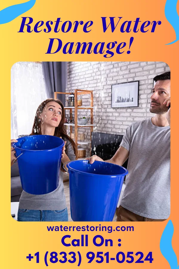 water restoration Stellar Water Solutions Experts Hamel