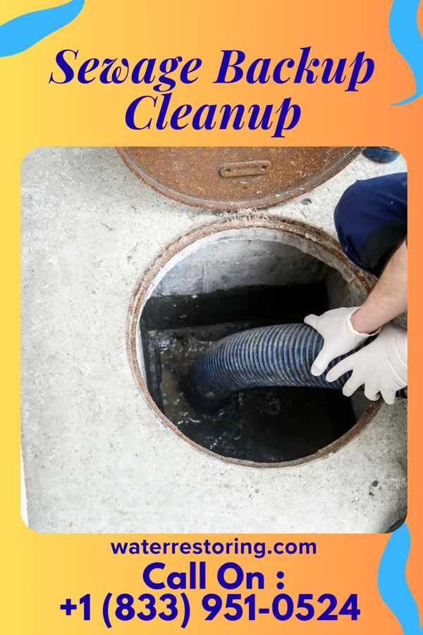 Sewage Backup Cleanup in Hamel, IL